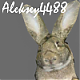 Аватар для aleksey4488